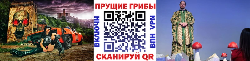 KRAKEN как зайти Цивильск Псилоцибиновые грибы мухоморы